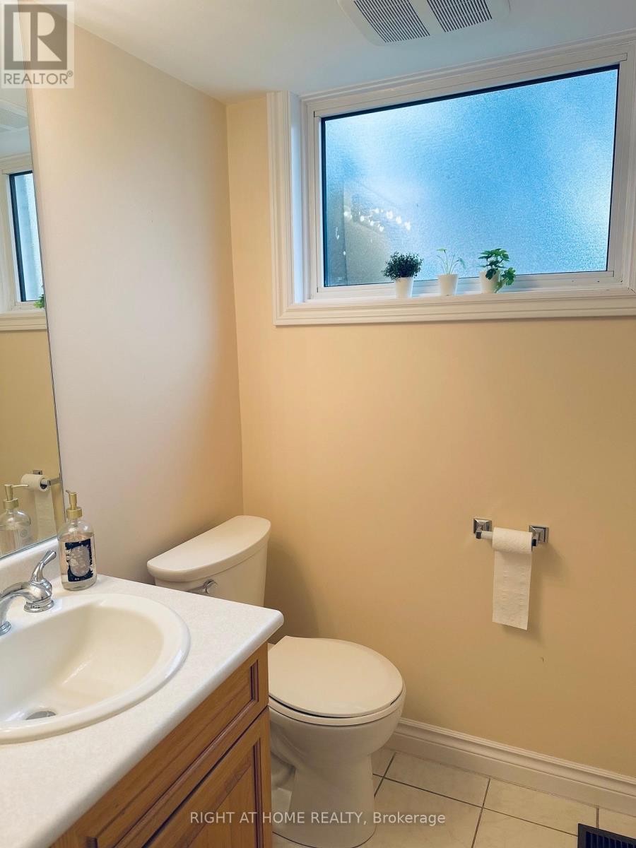 Basement - 30 Marowyne Drive, Toronto, Ontario  M2J 2A4 - Photo 10 - C12683006