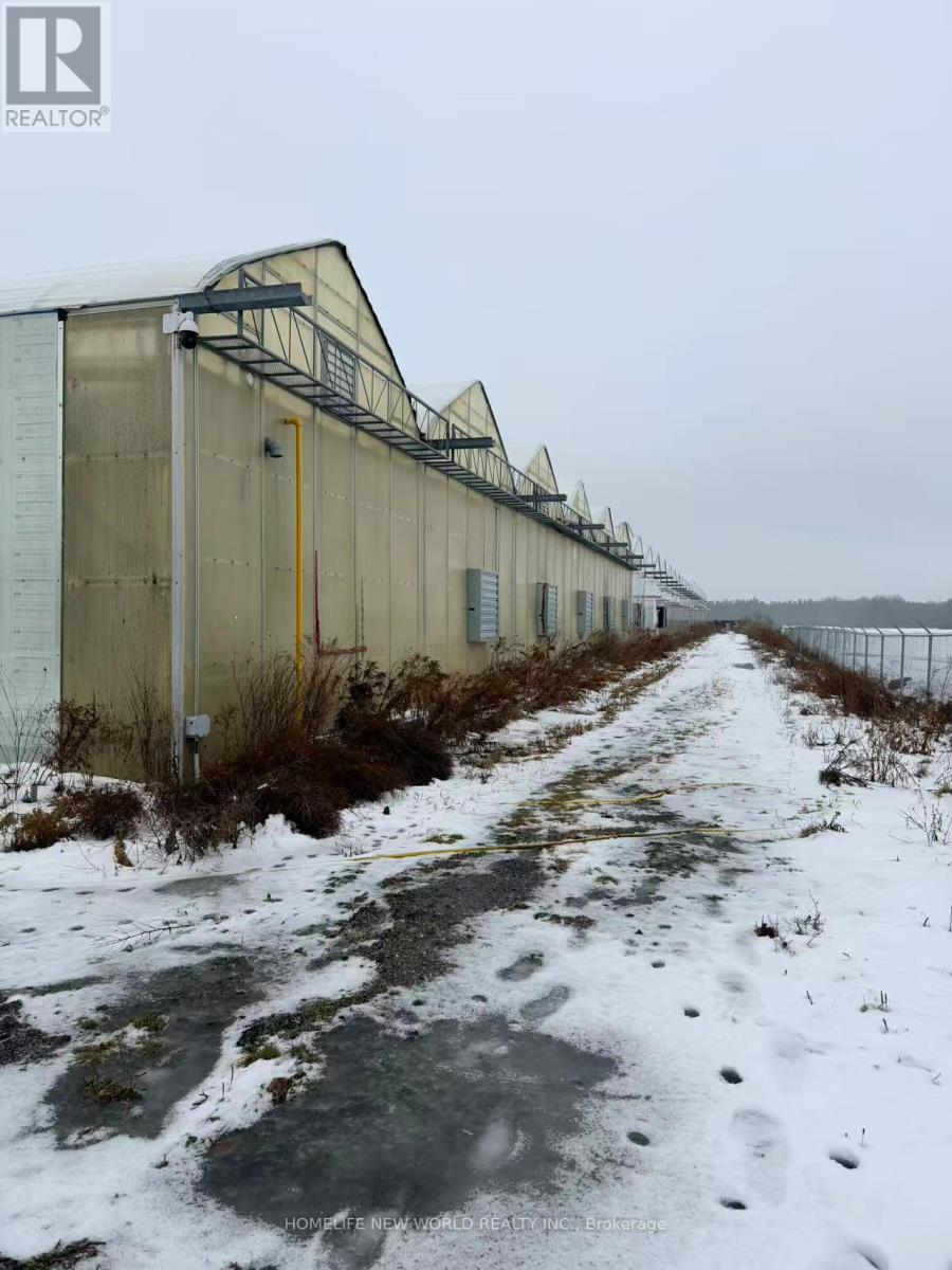 1510 Highway 3 Highway, Haldimand, Ontario  N1A 2W7 - Photo 14 - X12689694