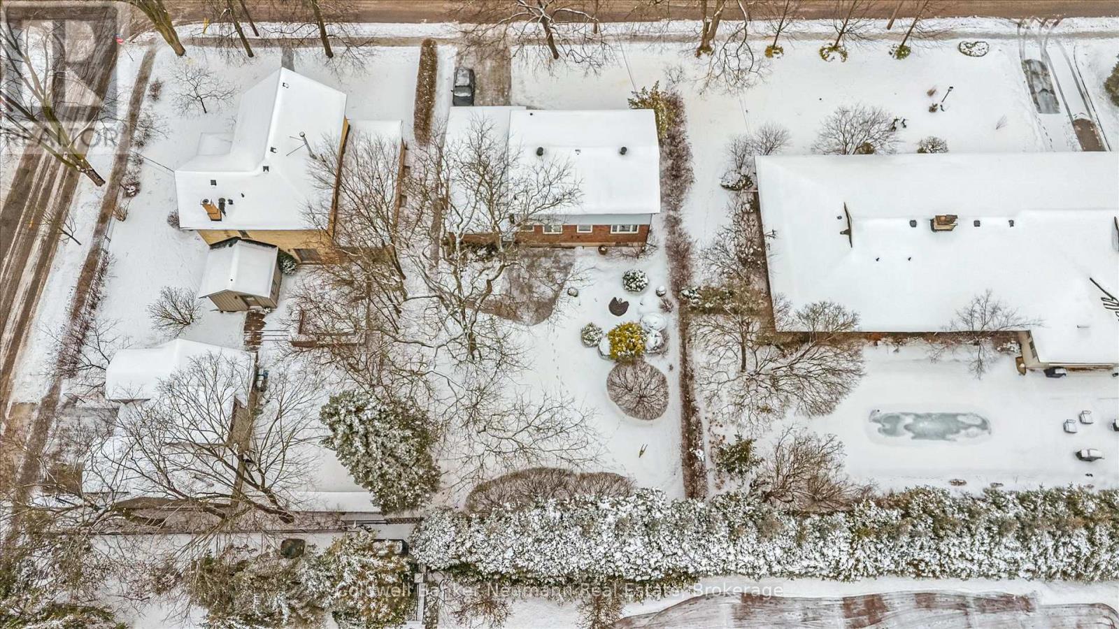 115 Palmer Street, Guelph (St. George's), Ontario  N1E 2R2 - Photo 37 - X12689748