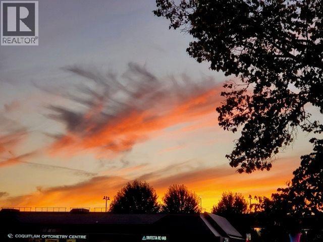 12 20554 118 Avenue, Maple Ridge, British Columbia V2X 0S3 - Photo 27 - R3078542