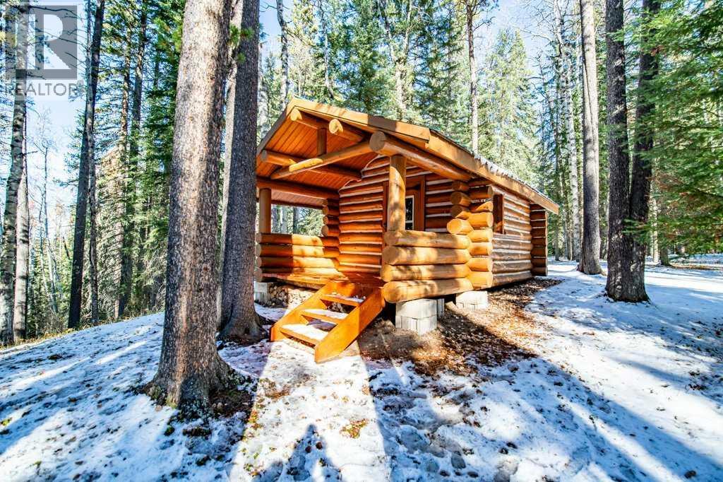 72004 Twp 35-2 Road, Caroline, Alberta  T0M 0M0 - Photo 25 - A2274191