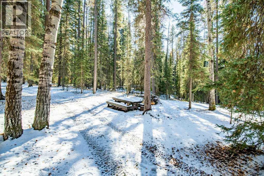 72004 Twp 35-2 Road, Caroline, Alberta  T0M 0M0 - Photo 34 - A2274191