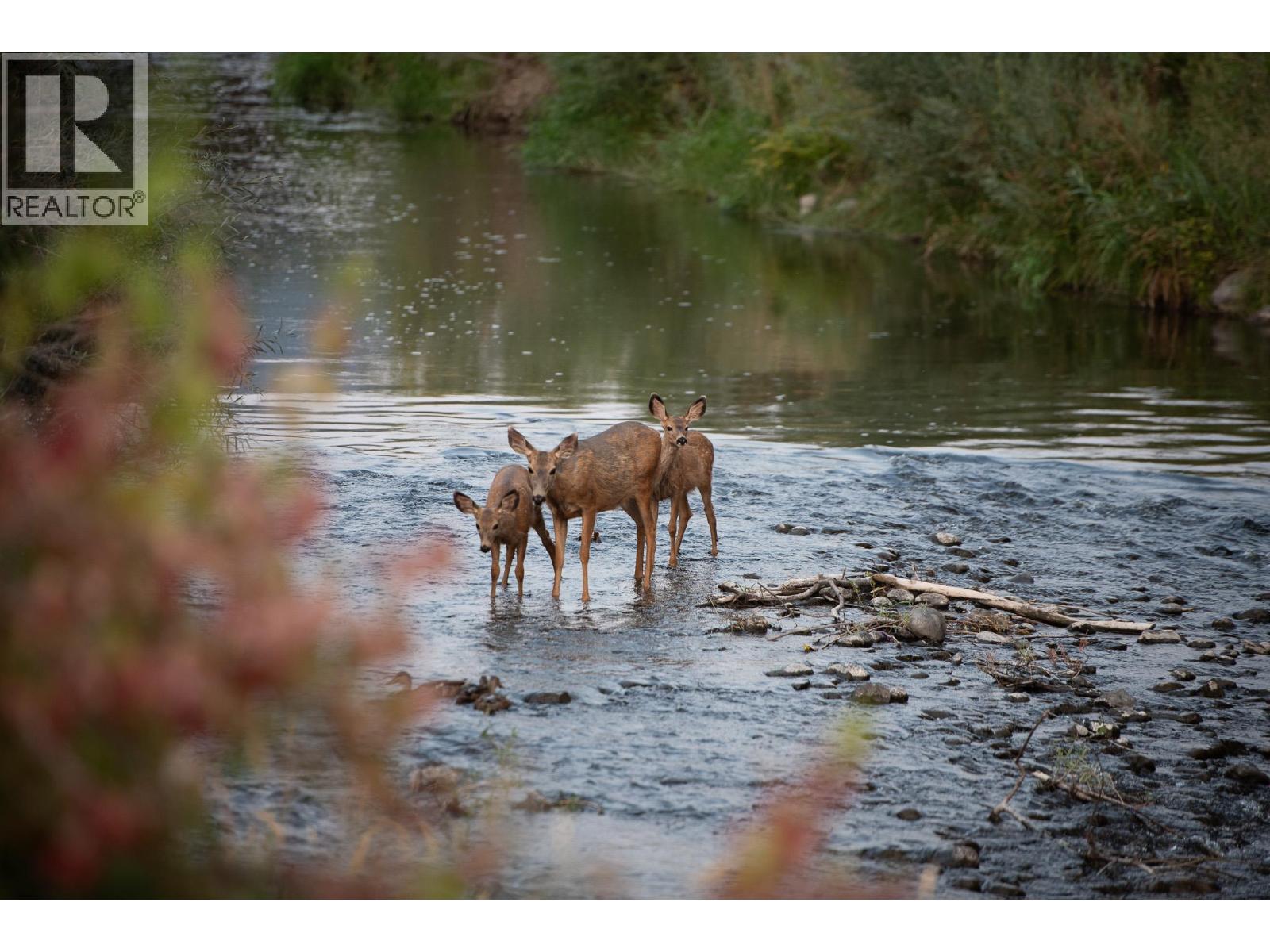 1401 Nicola Avenue Unit# 18, Merritt, British Columbia  V1K 1L8 - Photo 19 - 10371169