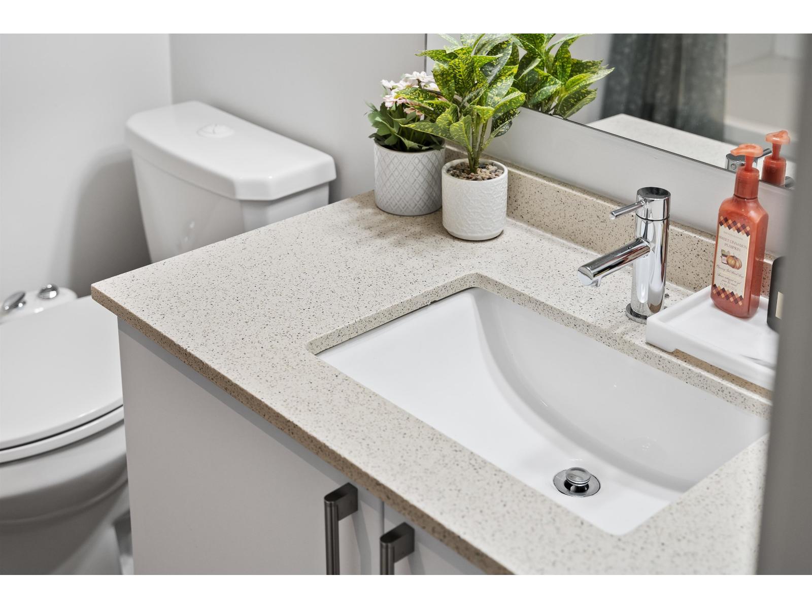 215 8733 160 Street, Surrey, British Columbia  V4N 6P9 - Photo 20 - R3075535