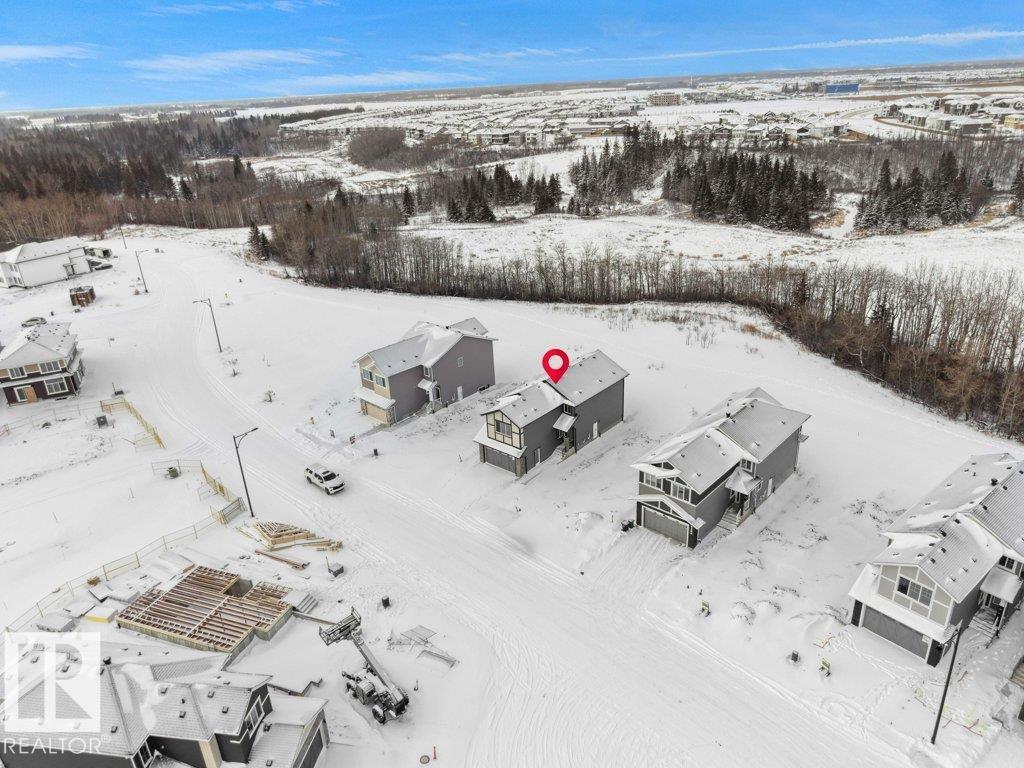 3290 Chernowski Way Sw Sw, Edmonton, Alberta  T6W 5H2 - Photo 8 - E4469850