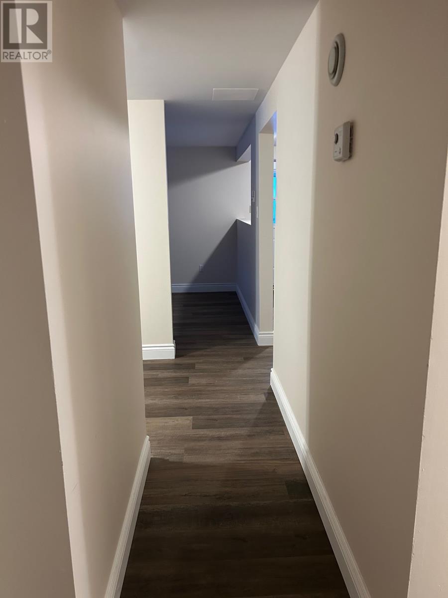 19 Burton Street, St. John's, Newfoundland & Labrador  A1E 5M1 - Photo 13 - 1293581