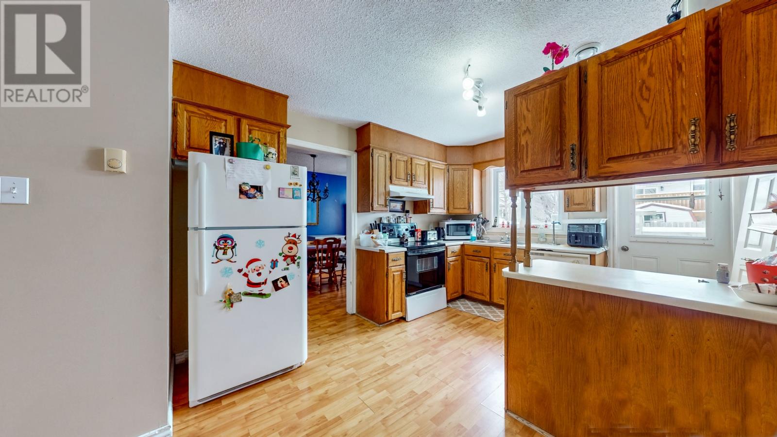 19 Burton Street, St. John's, Newfoundland & Labrador  A1E 5M1 - Photo 20 - 1293581