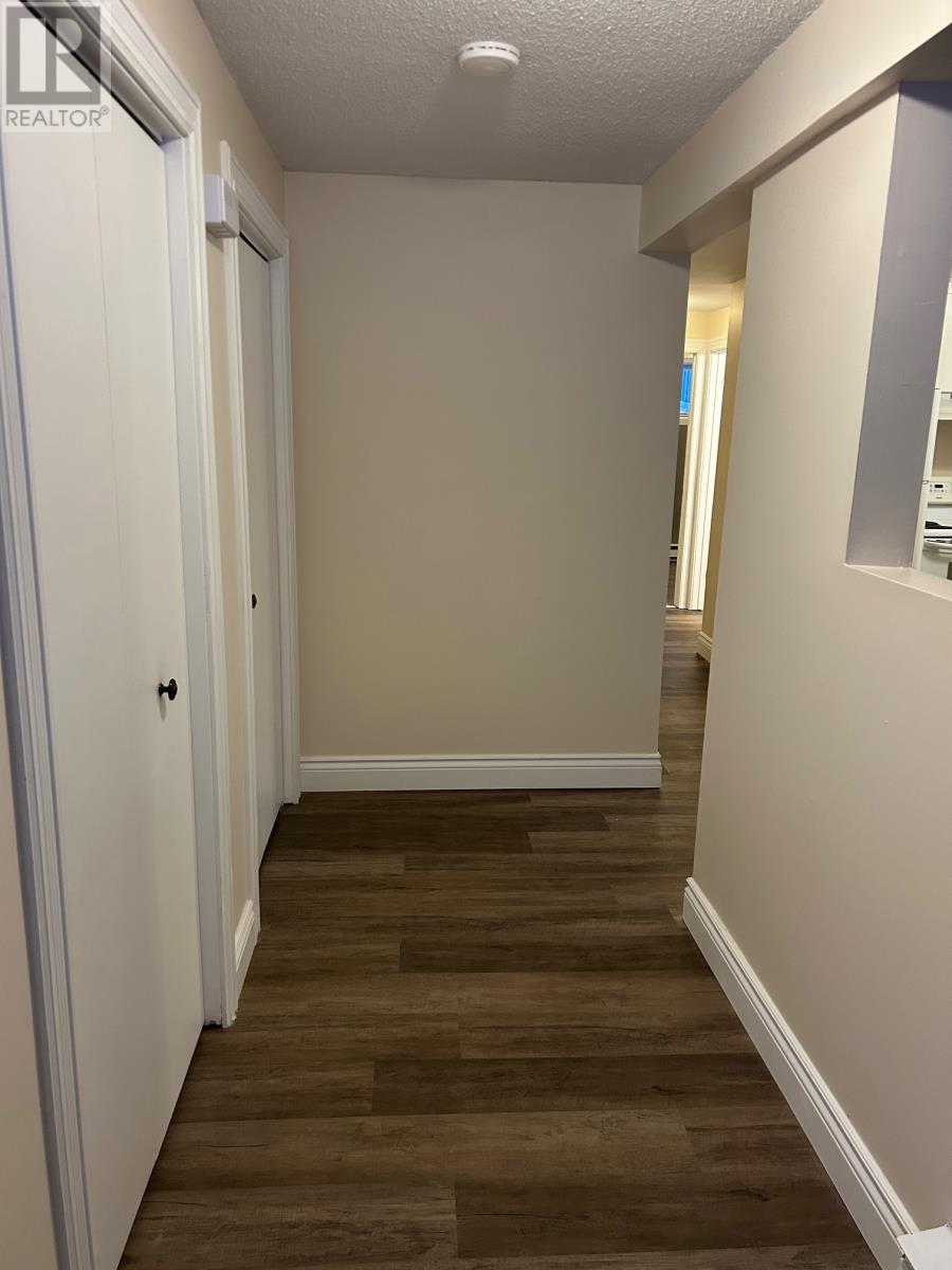 19 Burton Street, St. John's, Newfoundland & Labrador  A1E 5M1 - Photo 3 - 1293581