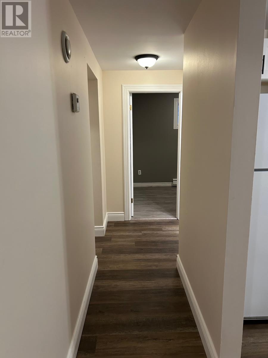 19 Burton Street, St. John's, Newfoundland & Labrador  A1E 5M1 - Photo 7 - 1293581