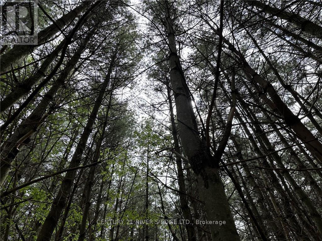 12082 Land O'nod Road, Merrickville-Wolford, Ontario  K0G 1R0 - Photo 17 - X9515254