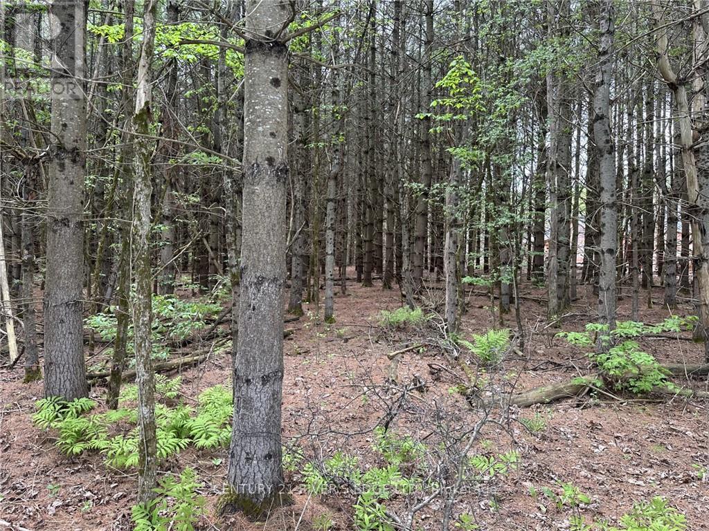 12082 Land O'nod Road, Merrickville-Wolford, Ontario  K0G 1R0 - Photo 15 - X9515254