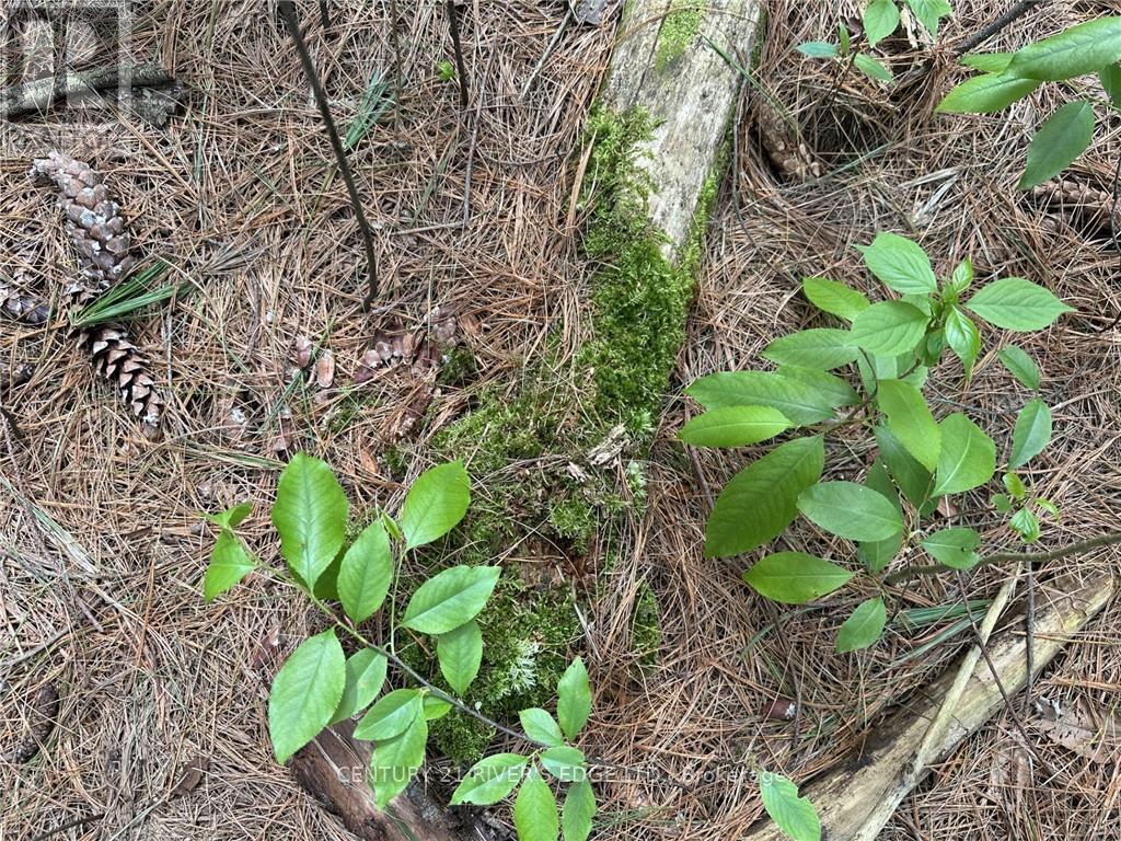 12082 Land O'nod Road, Merrickville-Wolford, Ontario  K0G 1R0 - Photo 23 - X9515254