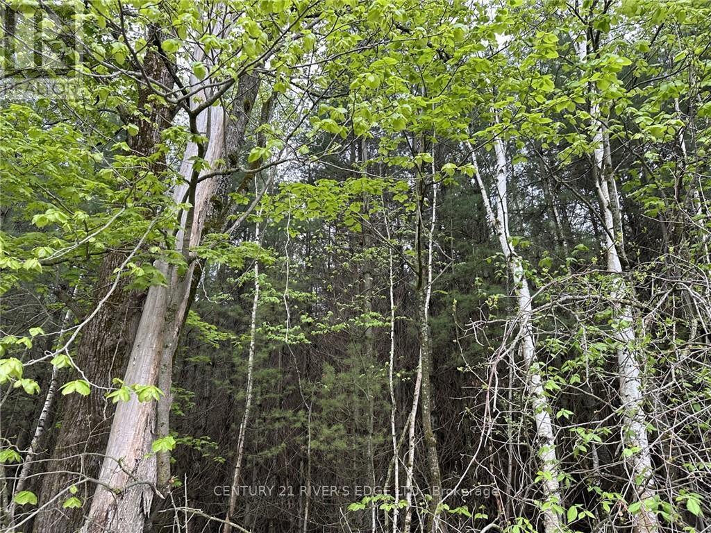 12082 Land O'nod Road, Merrickville-Wolford, Ontario  K0G 1R0 - Photo 3 - X9515254