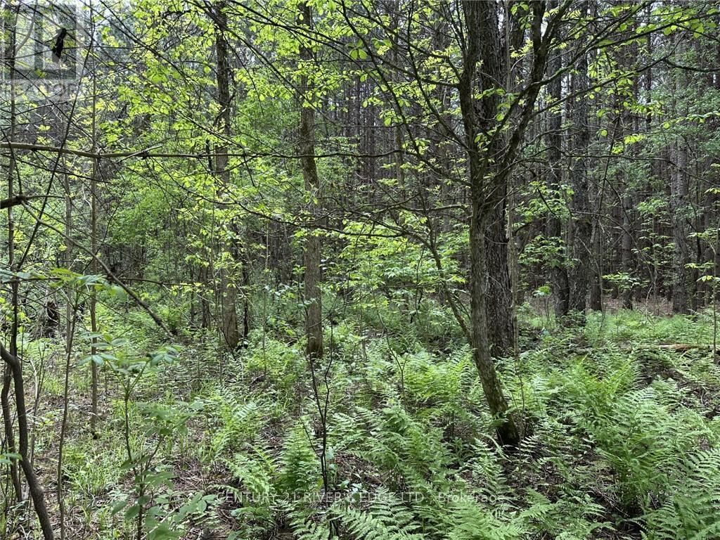 12082 Land O'nod Road, Merrickville-Wolford, Ontario  K0G 1R0 - Photo 25 - X9515254