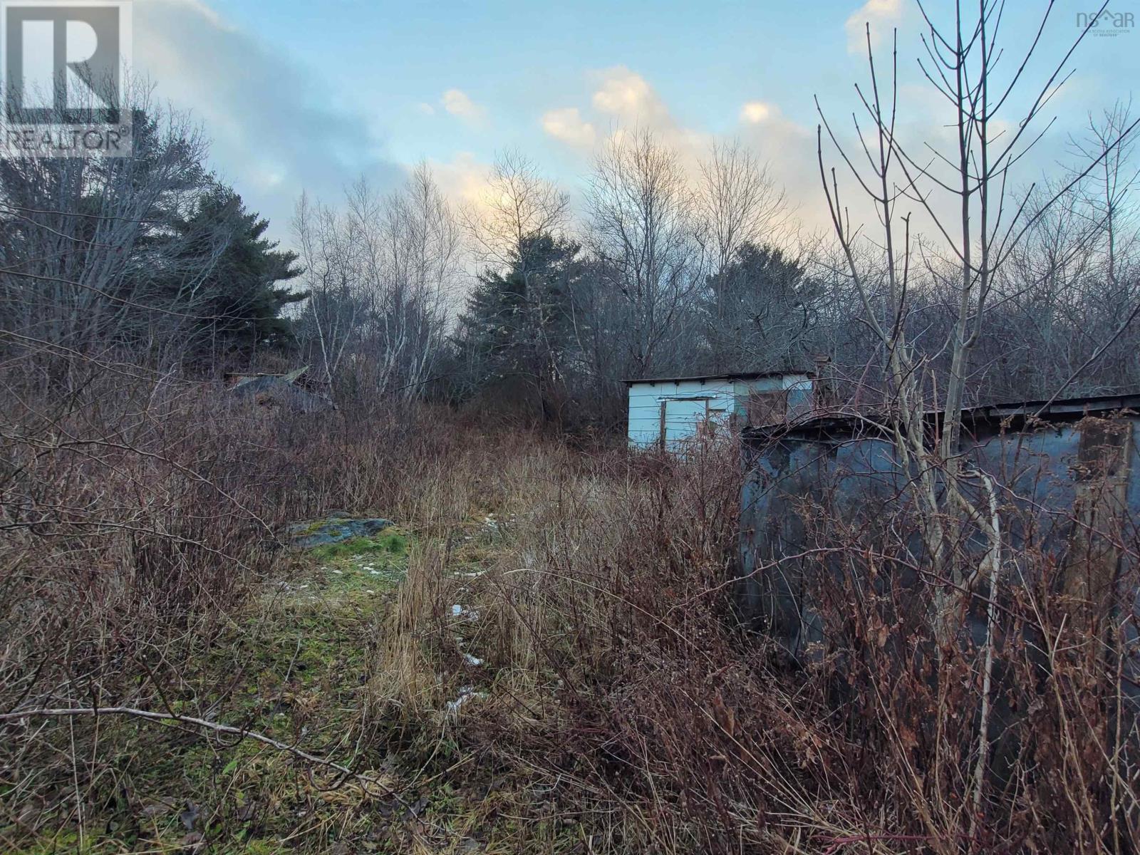 62 Tupper Street, Milton, Nova Scotia  B0T 1K0 - Photo 3 - 202600540