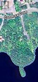 65 Connors Cove Road, Brigus Junction, Newfoundland & Labrador  A0B 1G0 - Photo 6 - 1293665