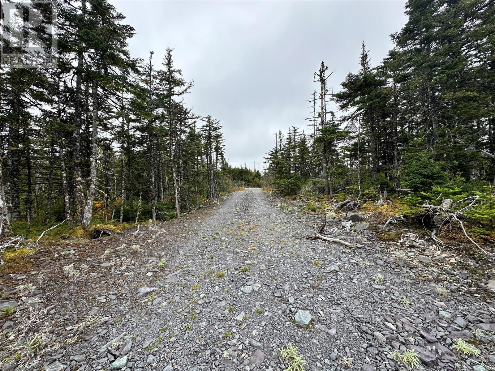 65 Connors Cove Road, Brigus Junction, Newfoundland & Labrador  A0B 1G0 - Photo 4 - 1293665