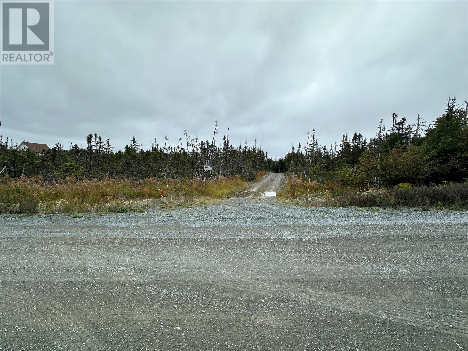 65a Connors Cove Road, Brigus Junction, Newfoundland & Labrador  A0B 1G0 - Photo 3 - 1293667