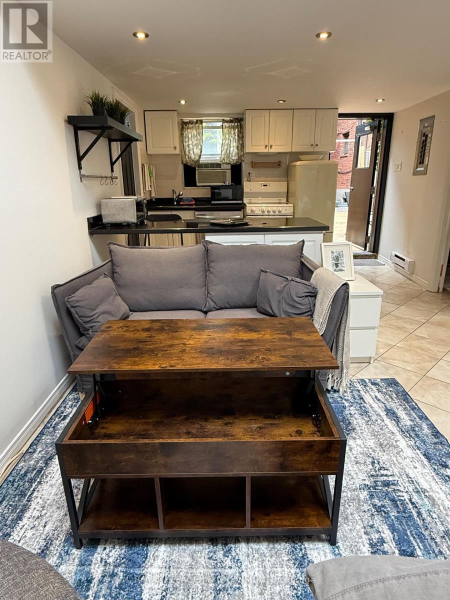 Rear - 43 Cecil Street, Toronto, Ontario  M5T 1N1 - Photo 10 - C12690230