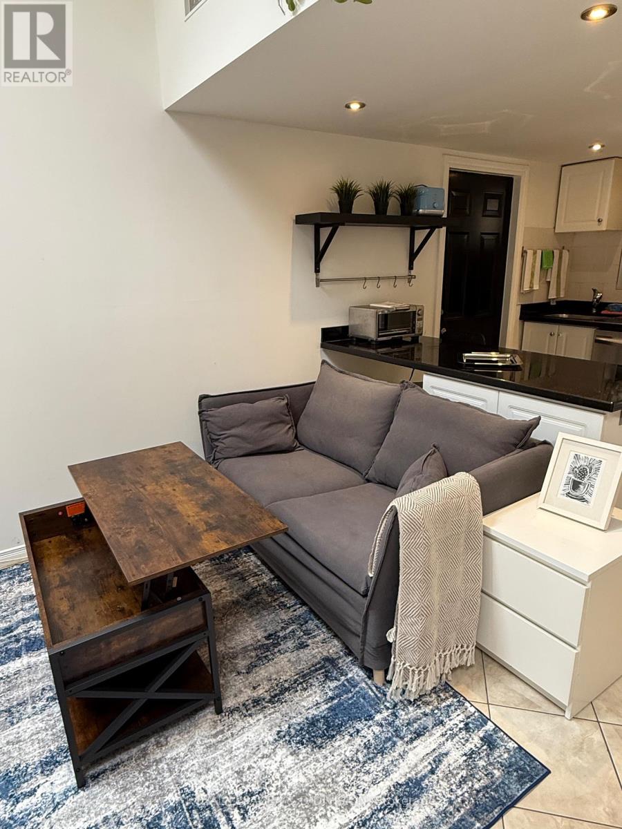 Rear - 43 Cecil Street, Toronto, Ontario  M5T 1N1 - Photo 11 - C12690230