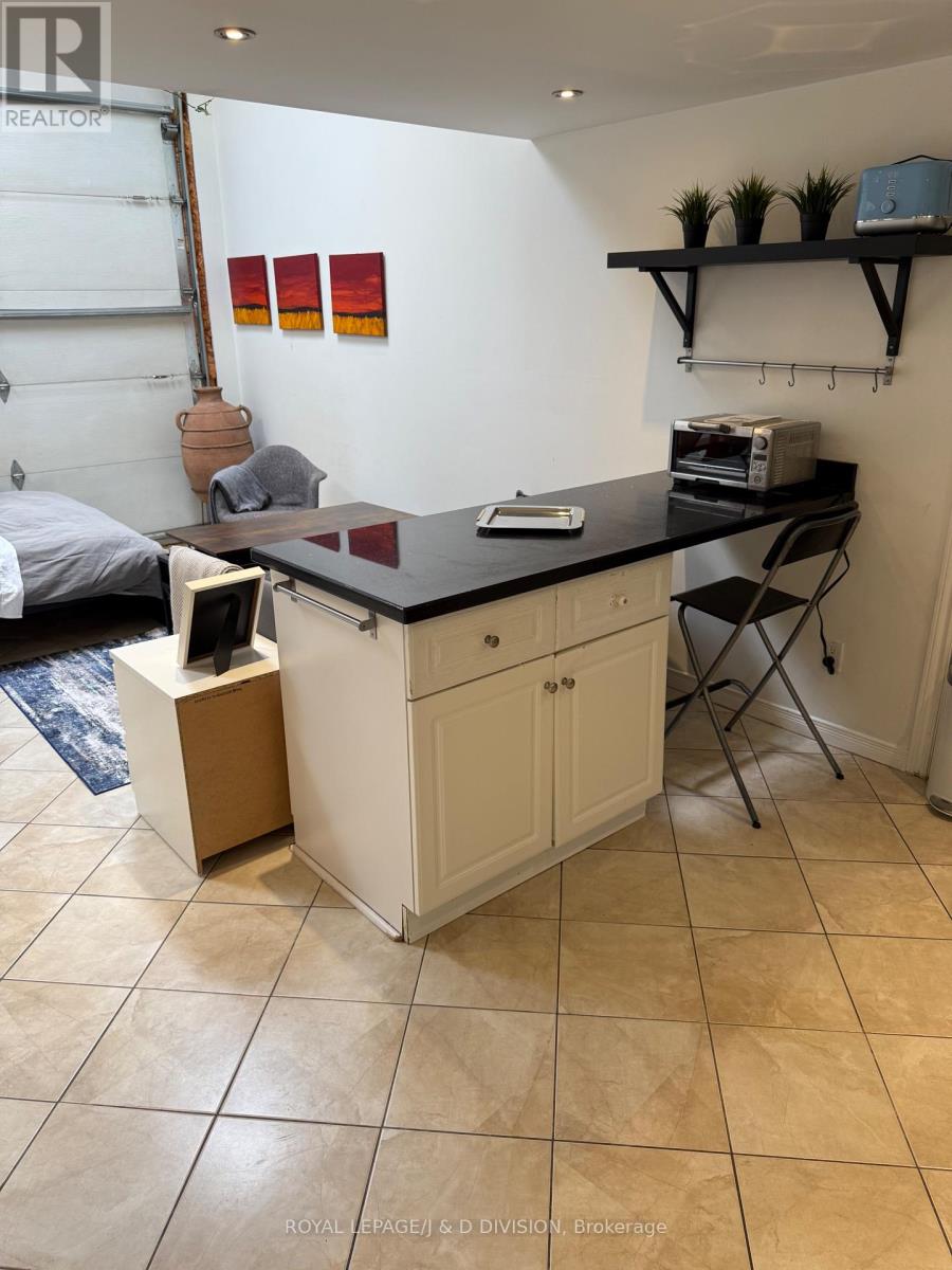 Rear - 43 Cecil Street, Toronto, Ontario  M5T 1N1 - Photo 12 - C12690230