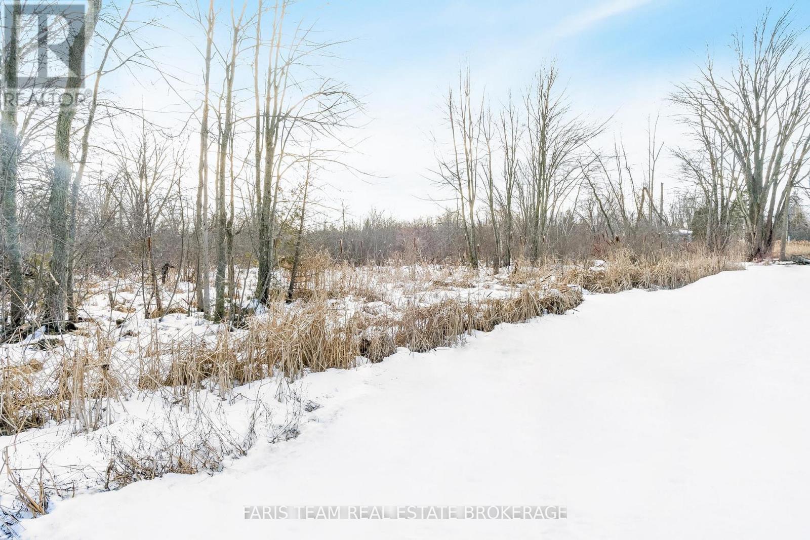 Lot 40 41 42 Riverview Beach Road, Georgina, Ontario  L0E 1N0 - Photo 2 - N12690306