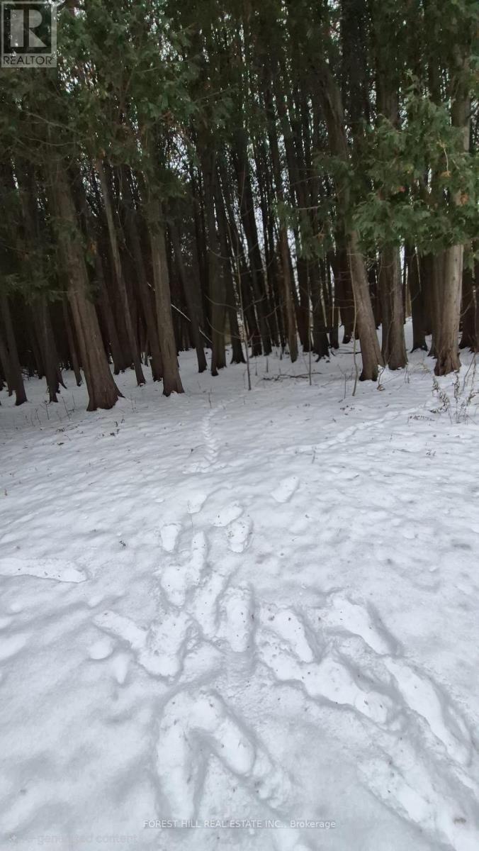 6263 Finnerty Road, Caledon, Ontario  L7K 1C9 - Photo 9 - W12690308