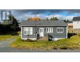 66 Back Track Road, Spaniards Bay, Newfoundland & Labrador