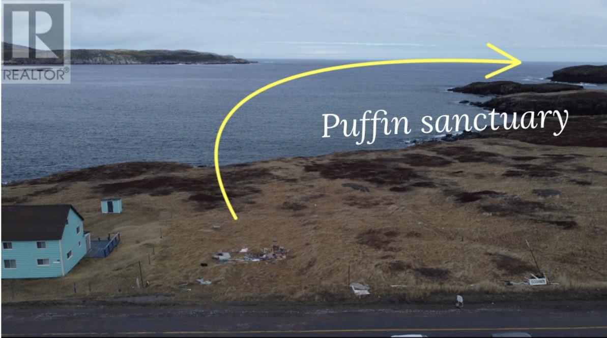 49-51 Maberly Road, Elliston, Newfoundland & Labrador  A0C 1N0 - Photo 3 - 1283931