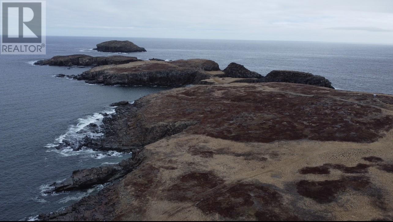 49-51 Maberly Road, Elliston, Newfoundland & Labrador  A0C 1N0 - Photo 4 - 1283931