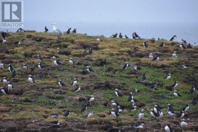 49-51 Maberly Road, Elliston, Newfoundland & Labrador  A0C 1N0 - Photo 6 - 1283931