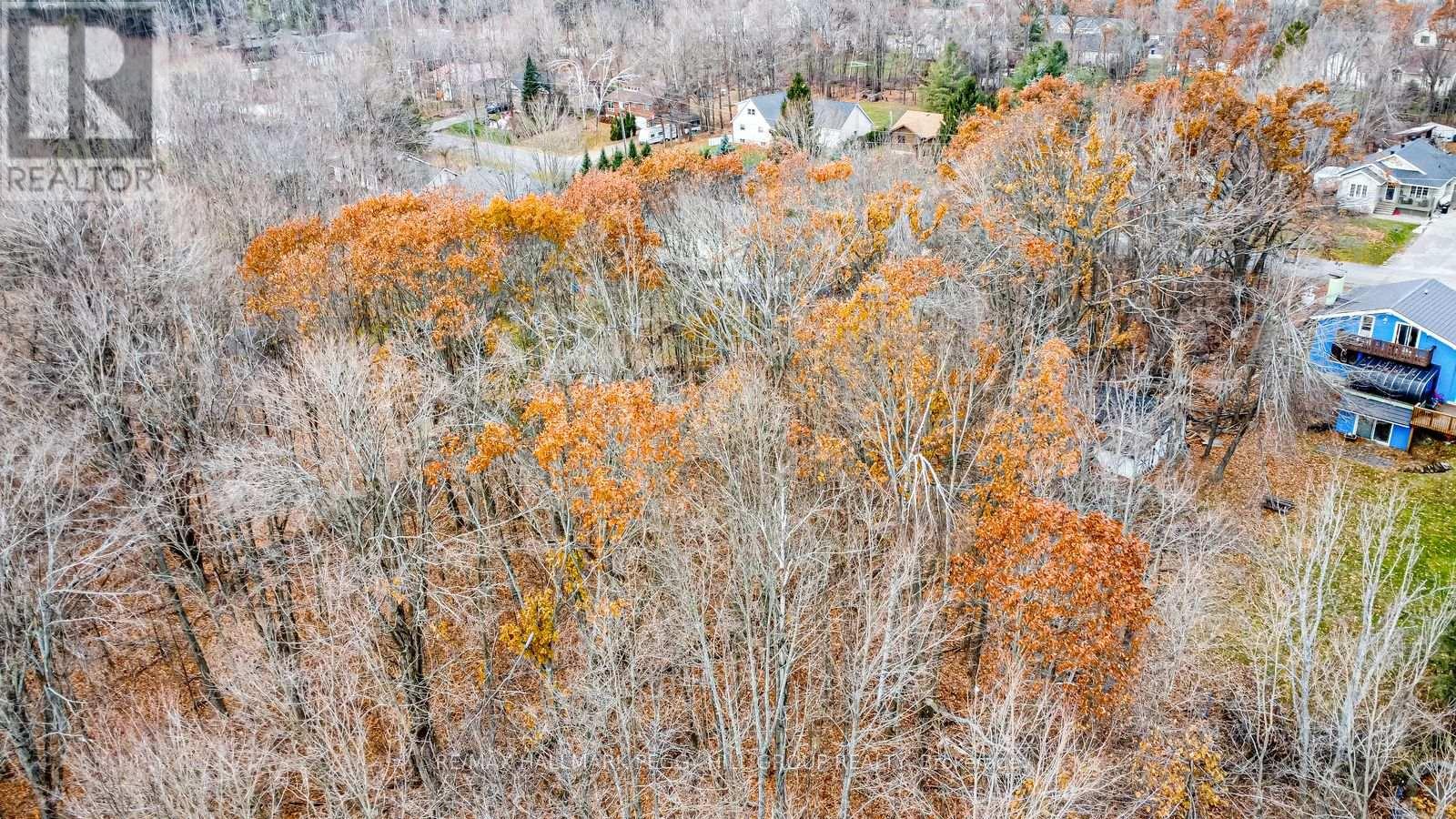 17 Valleyview Drive, Oro-Medonte, Ontario  L0K 1N0 - Photo 6 - S12585402