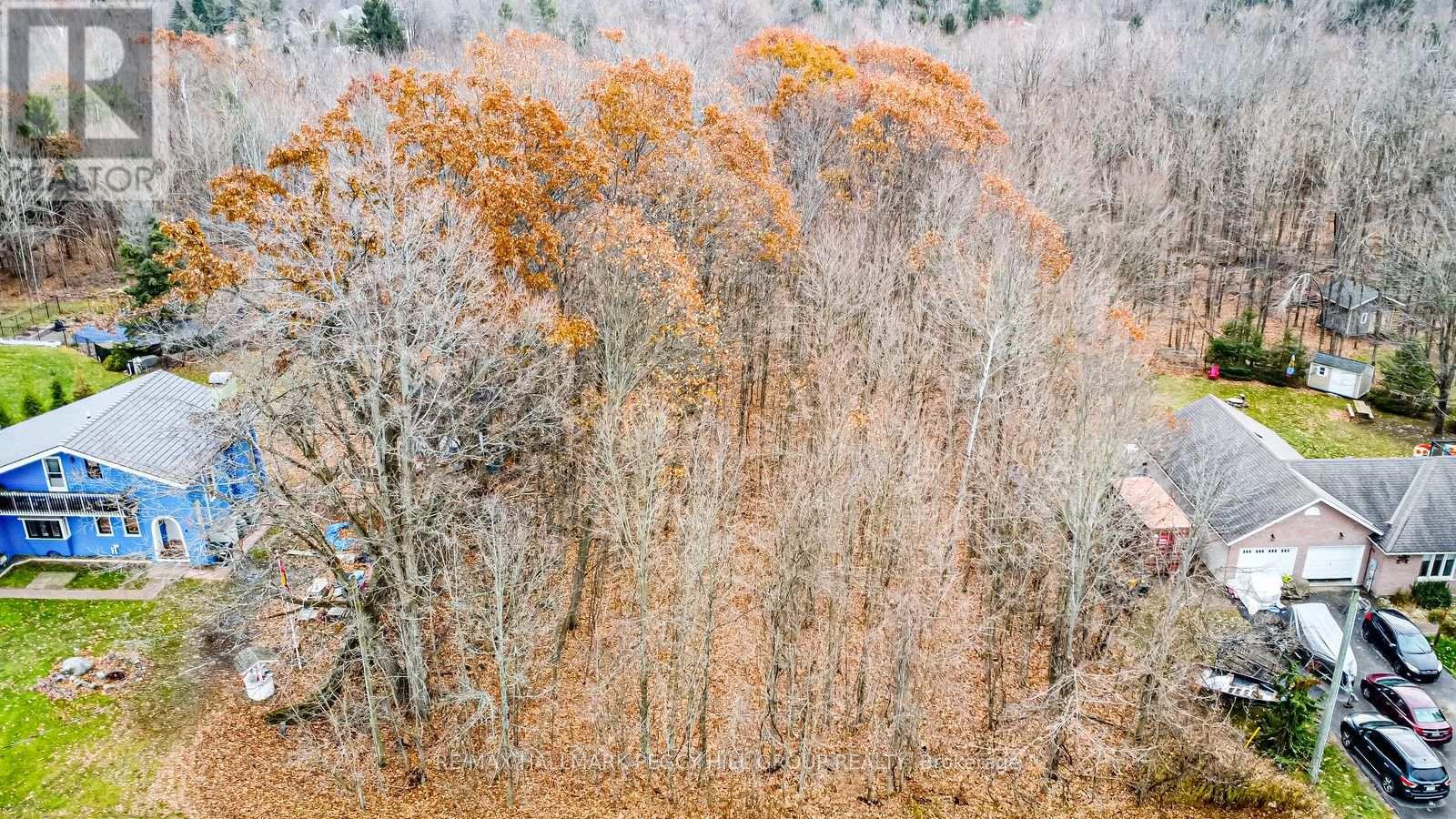 17 Valleyview Drive, Oro-Medonte, Ontario  L0K 1N0 - Photo 7 - S12585402