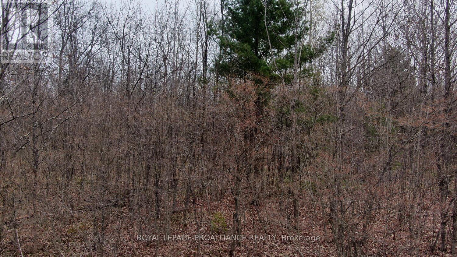 0 Graham Lake Road, Front Of Yonge, Ontario  K0E 1R0 - Photo 5 - X12690346