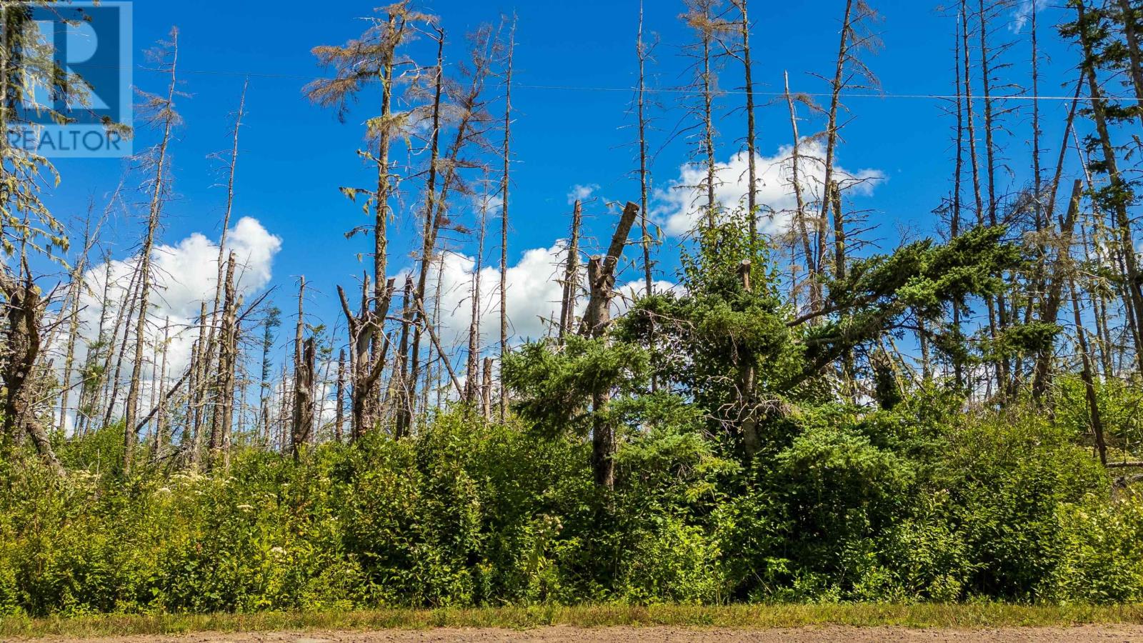 Lot 1 Sloane Road, Newport, Prince Edward Island  C0A 1G0 - Photo 2 - 202600676