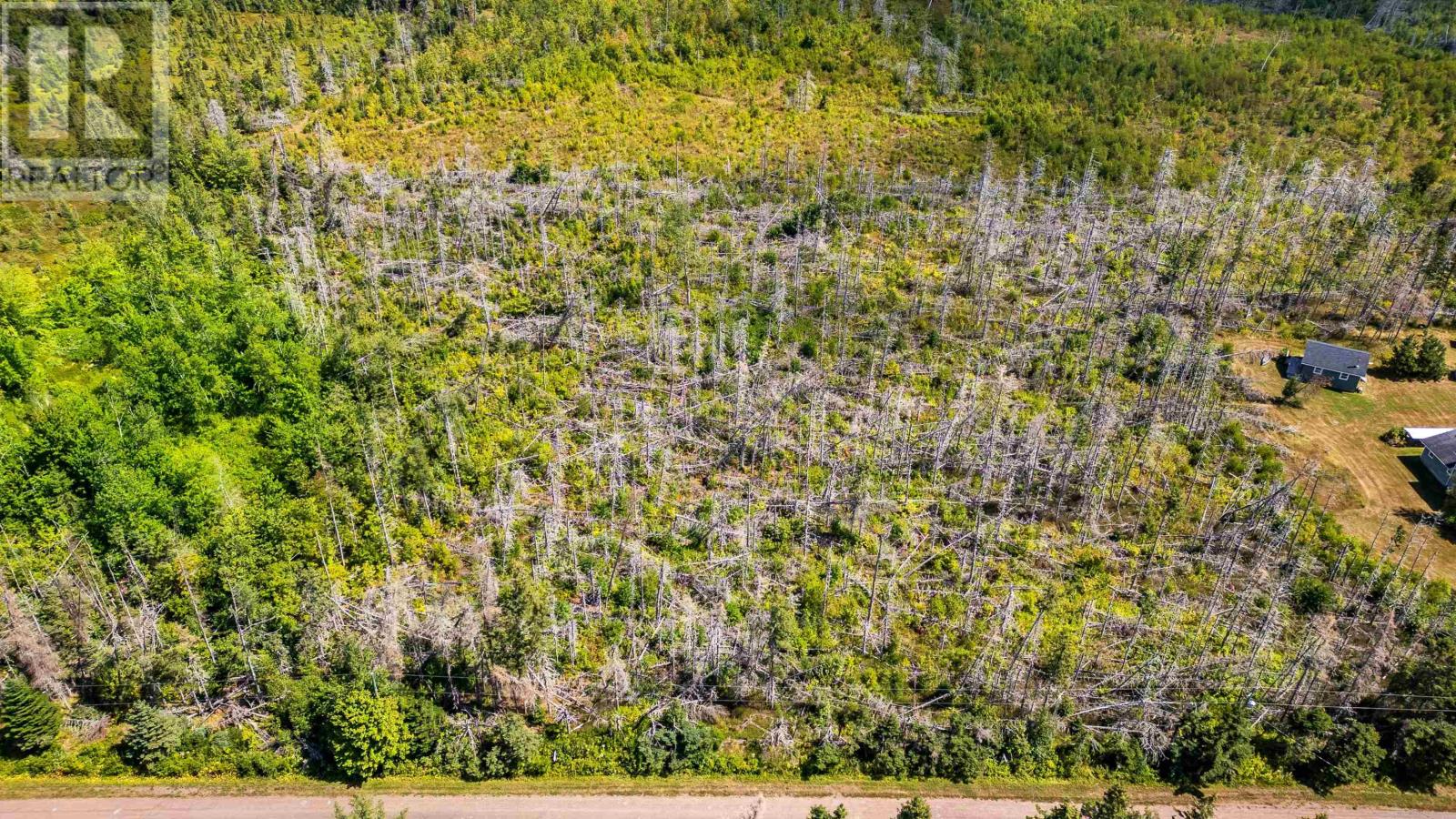 Lot 2 Sloane Road, Newport, Prince Edward Island  C0A 1G0 - Photo 14 - 202600679