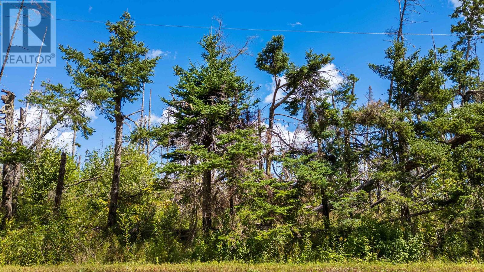 Lot 2 Sloane Road, Newport, Prince Edward Island  C0A 1G0 - Photo 2 - 202600679