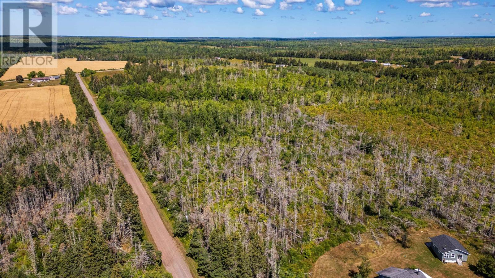 Lot 2 Sloane Road, Newport, Prince Edward Island  C0A 1G0 - Photo 7 - 202600679