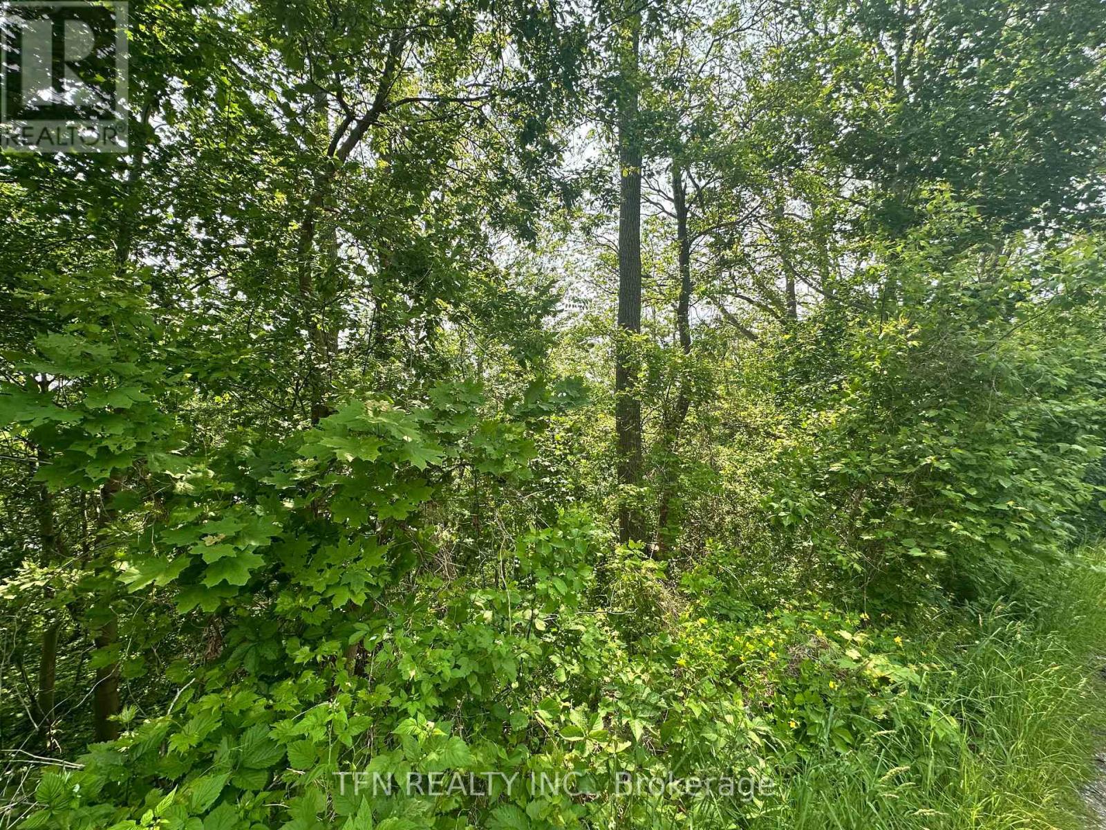 489 Caithness Street E, Haldimand, Ontario  N3W 1B2 - Photo 3 - X12690400