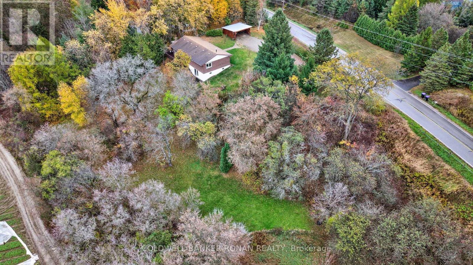 6976 2nd Line, New Tecumseth, Ontario  L0G 1W0 - Photo 5 - N12513088