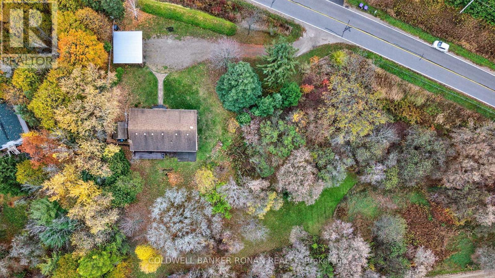 6976 2nd Line, New Tecumseth, Ontario  L0G 1W0 - Photo 6 - N12513088