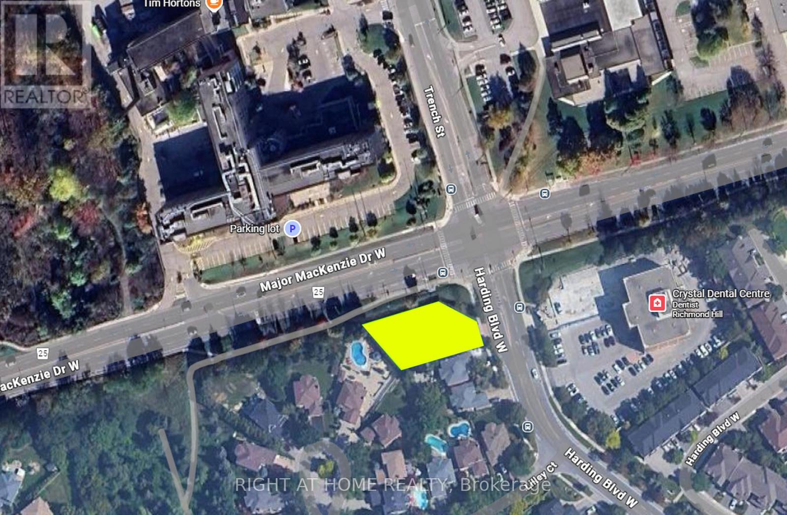 227 Harding Boulevard W, Richmond Hill, Ontario  L4C 8X3 - Photo 2 - N12690496