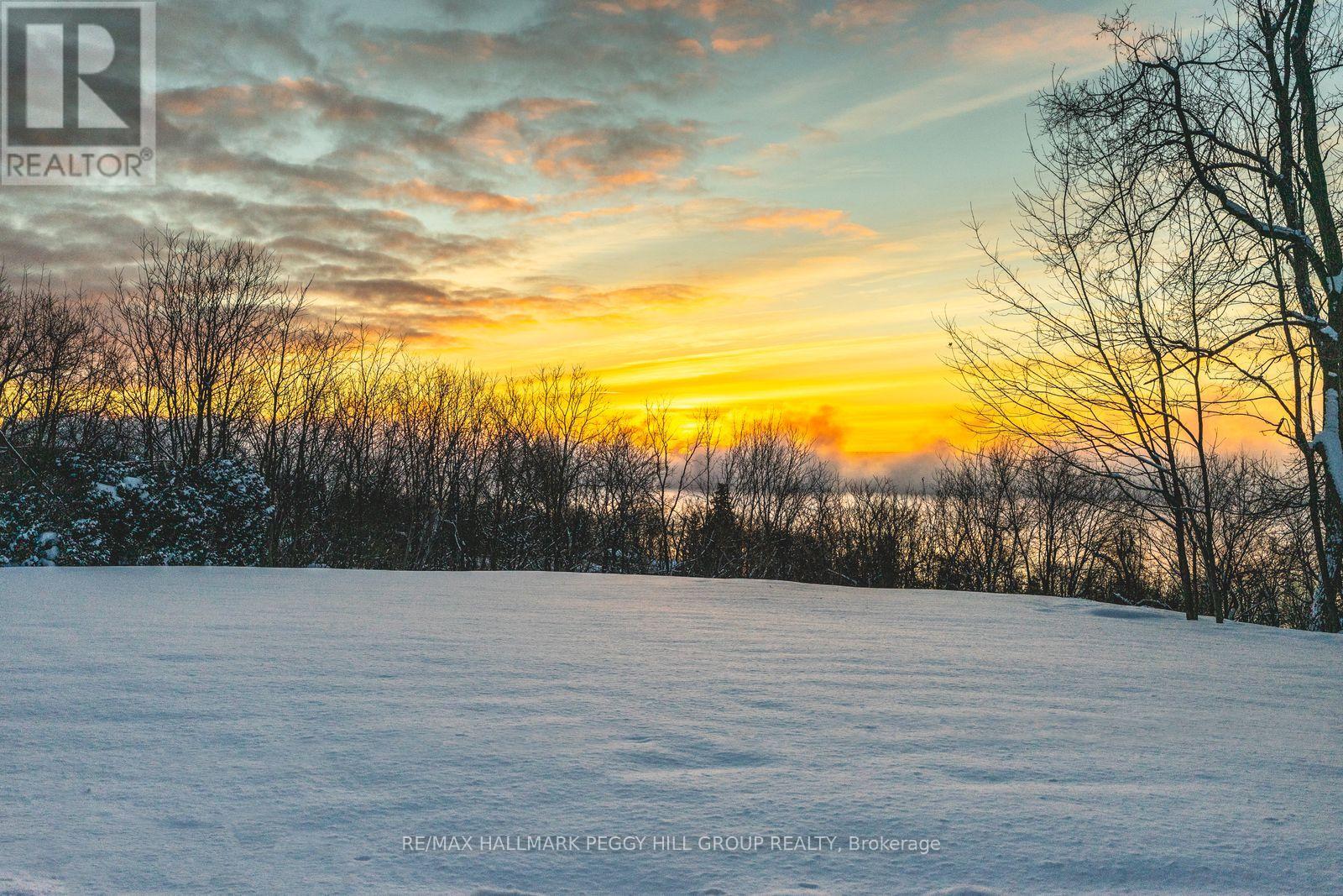 150 Collingwood Street, Barrie, Ontario  L4M 5M3 - Photo 29 - S12690508