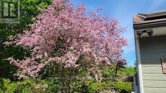 25 Orsi Road, Caledon, Ontario  L7C 1H6 - Photo 45 - W12690490