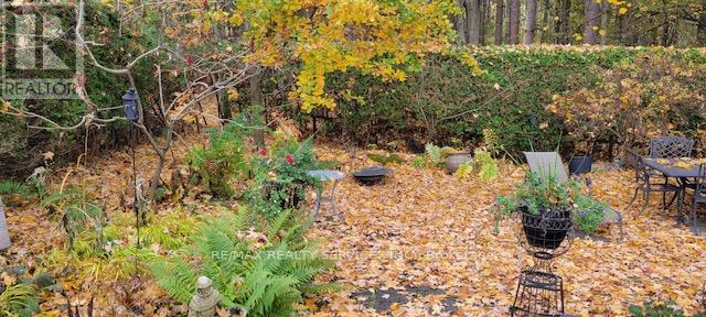 25 Orsi Road, Caledon, Ontario  L7C 1H6 - Photo 49 - W12690490