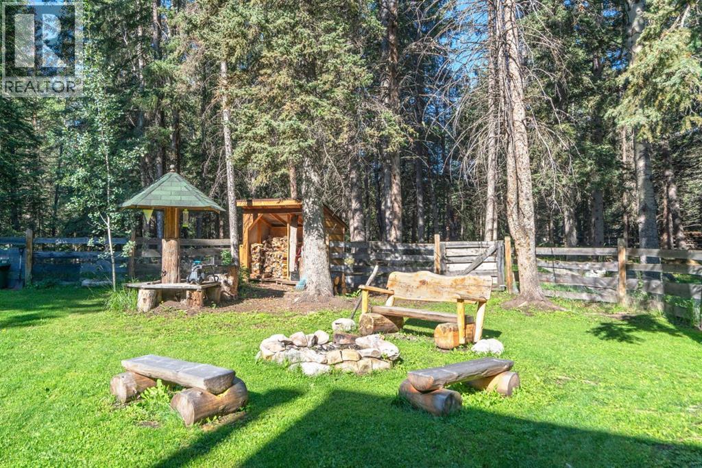 9 Ghost Road, Benchlands, Alberta  T4C 1N0 - Photo 6 - A2277140