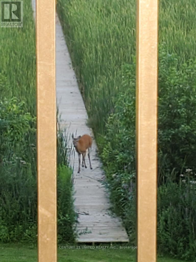 37 Southside Road, Kawartha Lakes, Ontario  K9V 0K3 - Photo 23 - X12690800