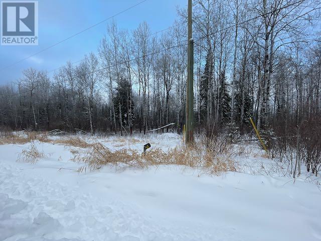 191 Lakeview Rd, Dryden, Ontario  P8N 2Y4 - Photo 1 - TB2600054