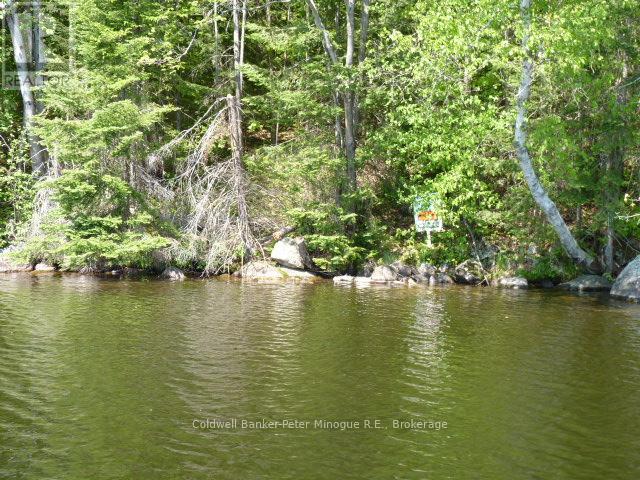 1757 South Shore Road, East Ferris, Ontario  P0H 1B0 - Photo 28 - X12690592