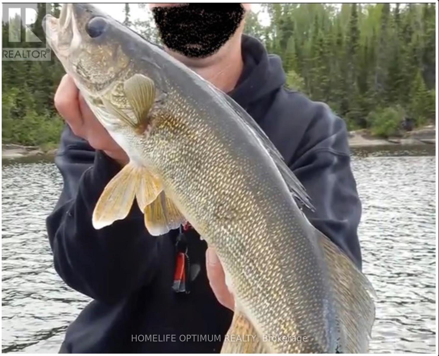 File 229 North Spirit Lake, Kenora, Ontario  P0V 2G0 - Photo 11 - X12690970